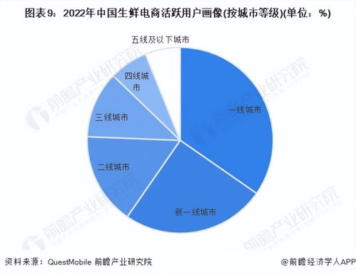 行业前瞻 2023 2028年中国生鲜电商行业发展分析